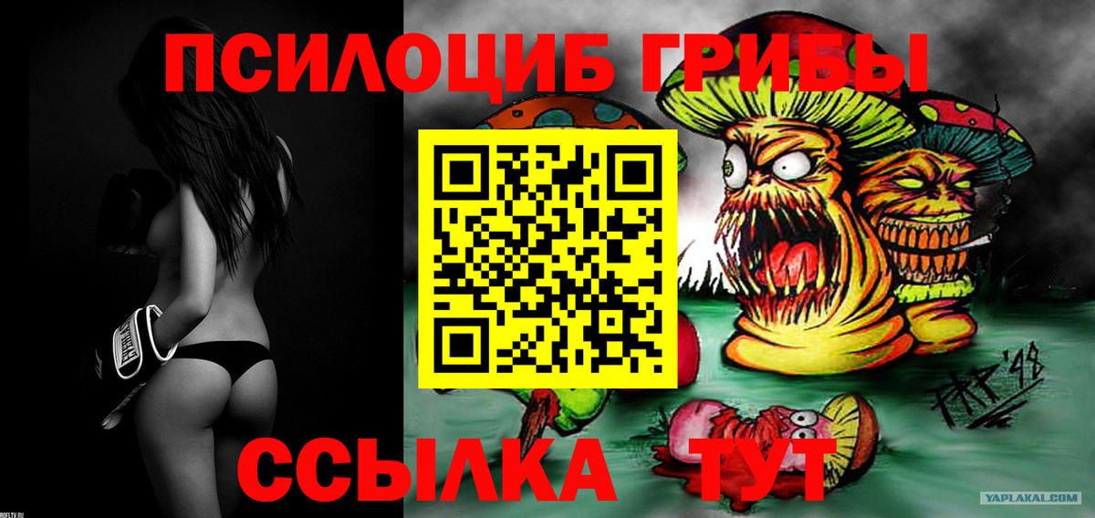 Псилоцибиновые грибы Psilocybe Заволжье